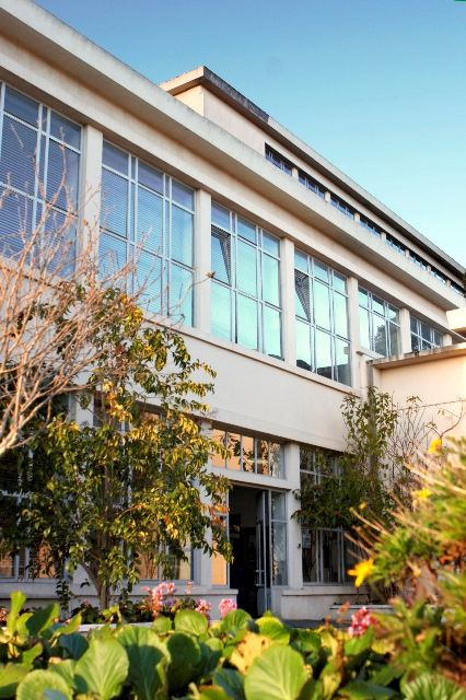 FCH Universidade Católica