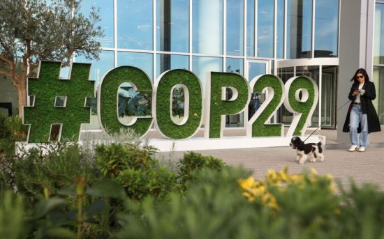 COP29