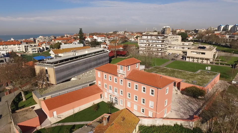 Programa integrado pela Católica Porto Business School distinguido pelo “FT”