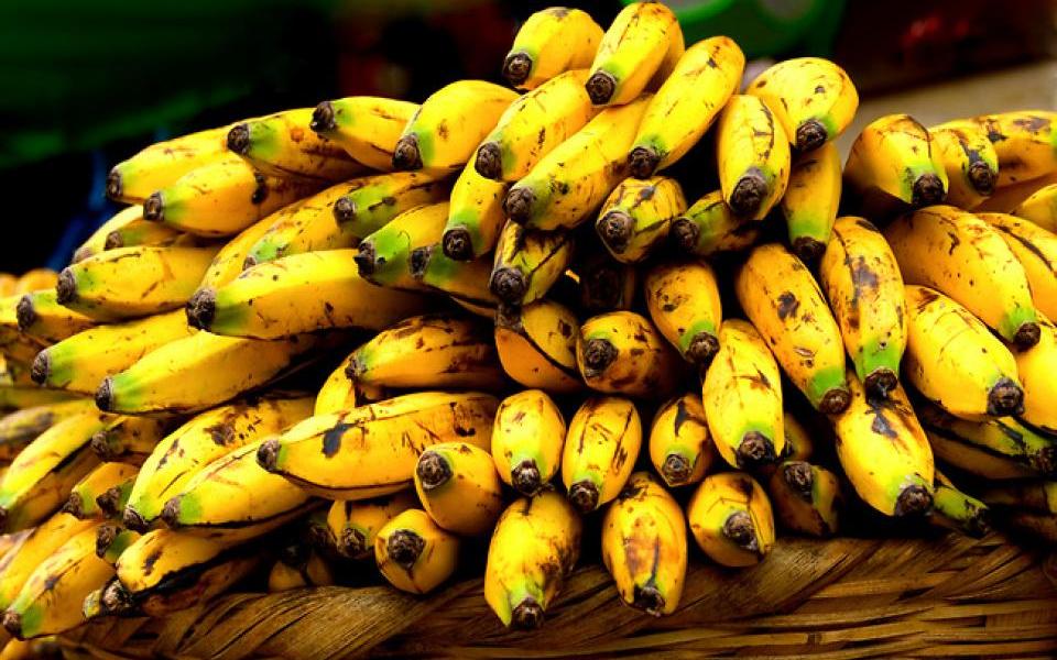 Madeira: comércio de banana aumentou 18% no primeiro quadrimestre