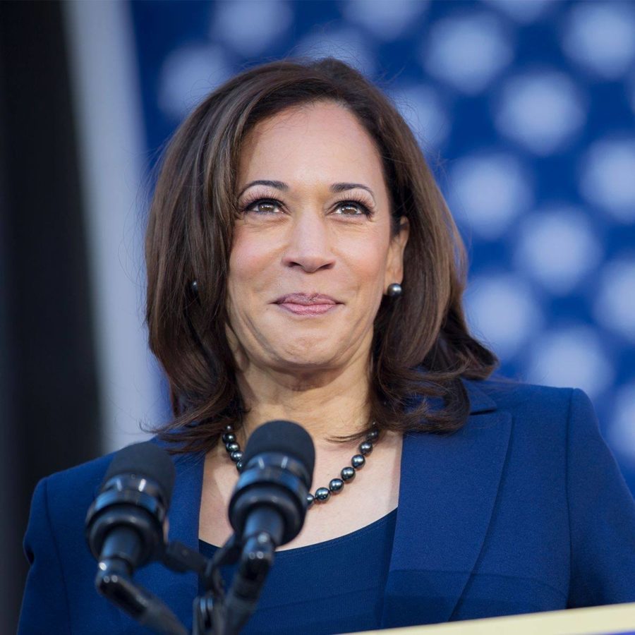 EUA: Kamala Harris recebe apoio de mais de 100 empreendedores