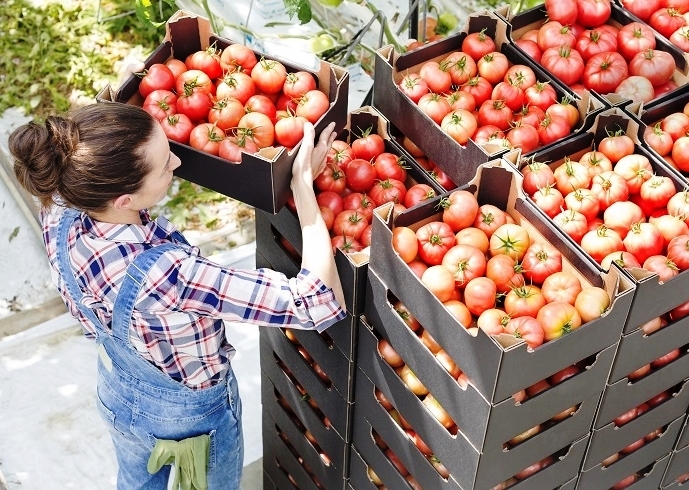 Exportações de frutas, legumes e flores batem novo recorde de 2.300 milhões em 2023