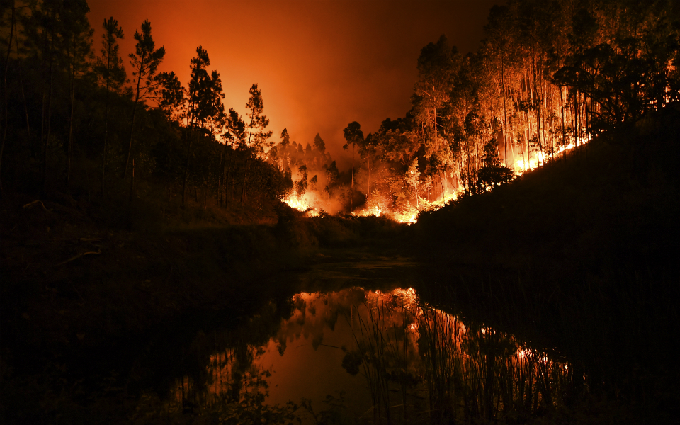 Incêndios: Proteção Civil admite que programa “Aldeia Segura” não cresceu à velocidade desejada