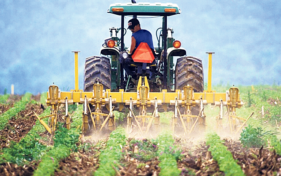 Reprogramação do PEPAC: Associações e confederações de agricultores contra