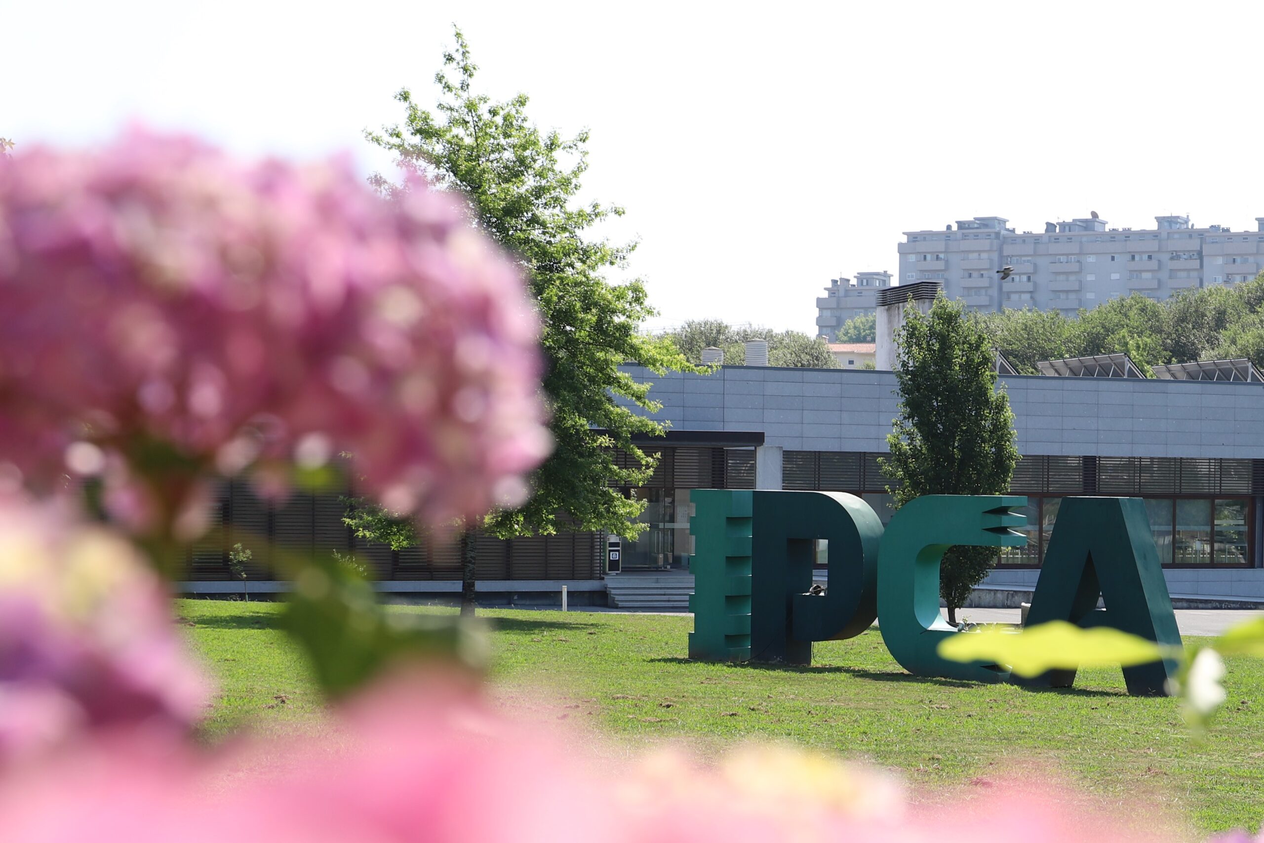 IPCA abre escola em Guimarães com licenciatura em desporto