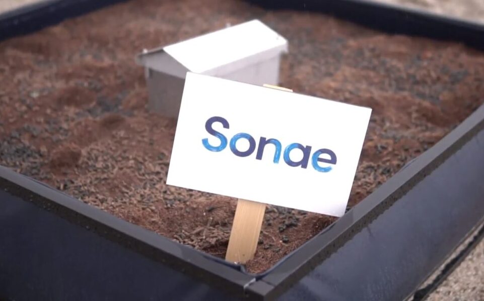 The Sonae-led consortium is bidding with OPA for Musti Group Plc