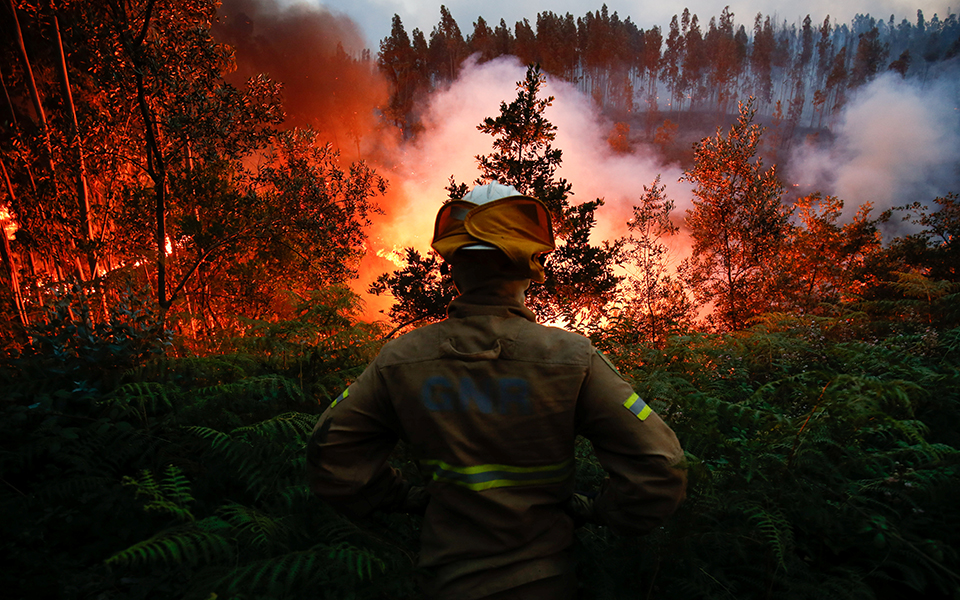 Mais meios aéreos não protegem Madeira da tragédia dos incêndios, alerta AGIF