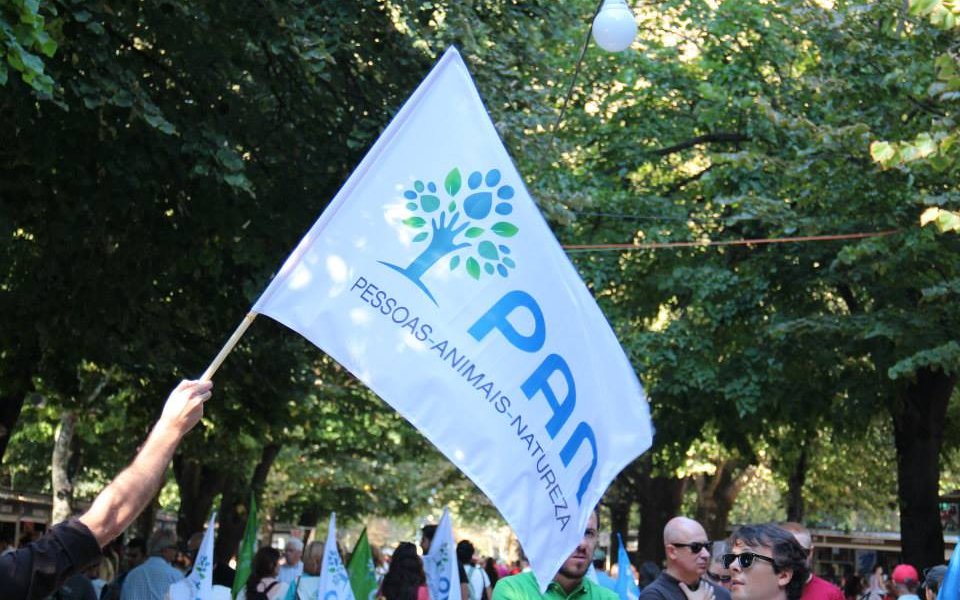 Eleições/Açores: PAN só decide sentido de voto após conhecer Programa do Governo