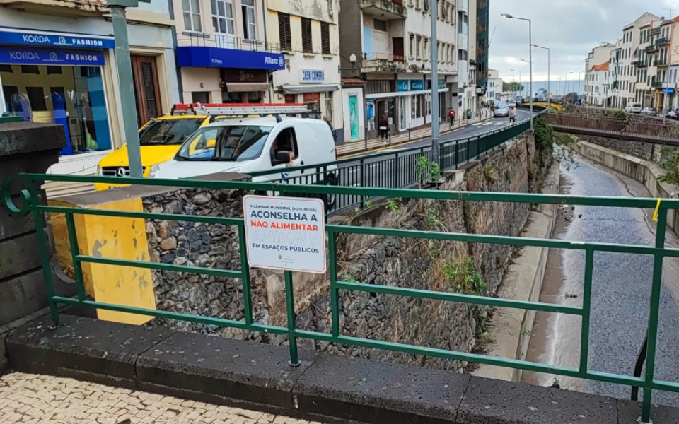 Dívida da Madeira sobe 144 milhões de euros no segundo trimestre