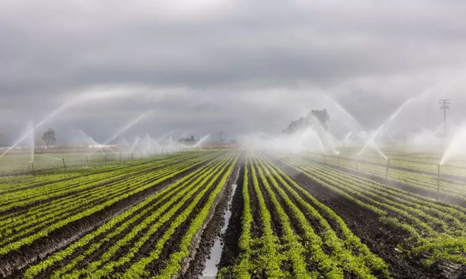 Agricultores queixam-se de vaga de furtos de cobre com prejuízos a serem mais de um milhão