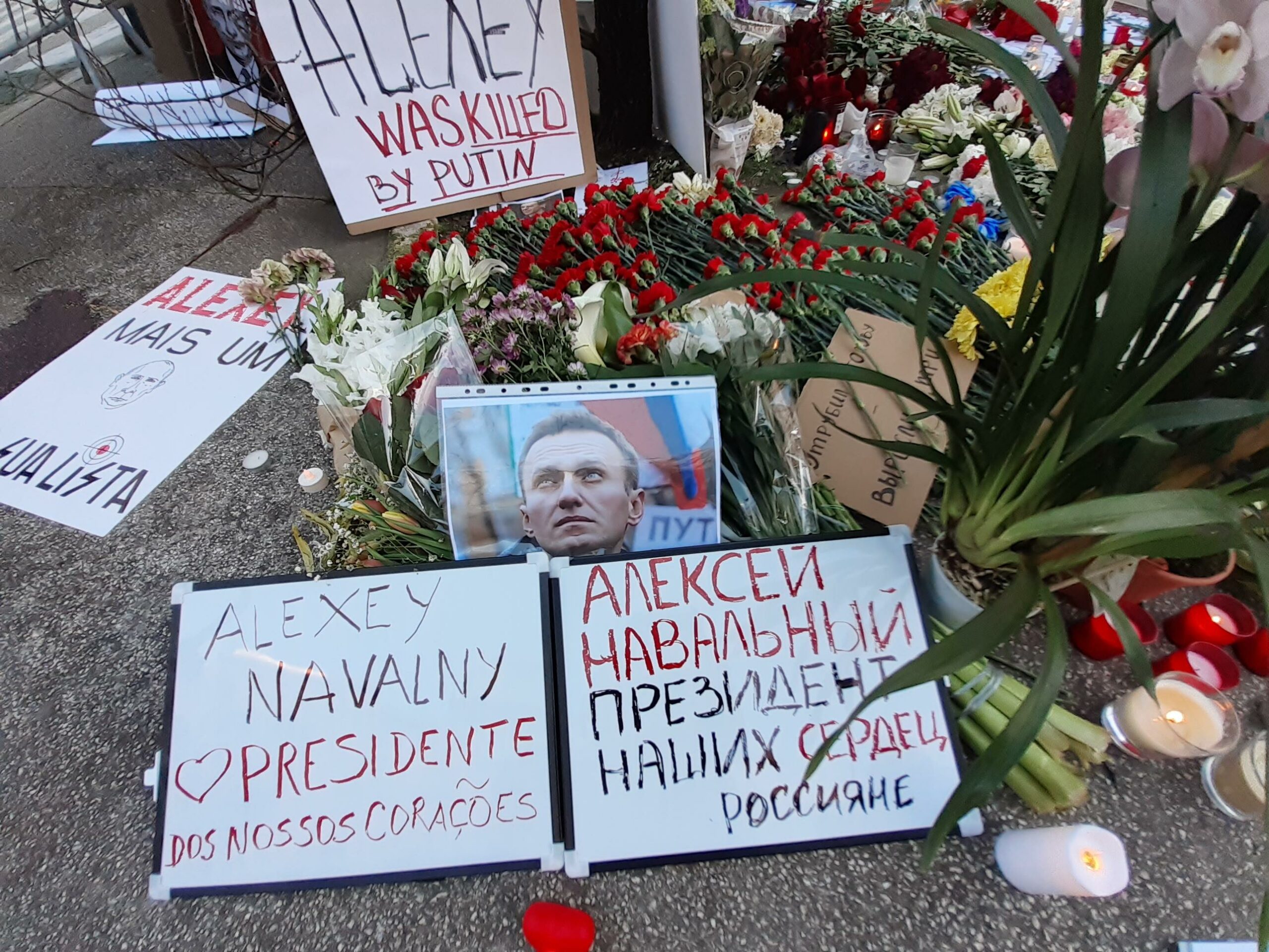 Quase todos os embaixadores europeus, incluindo embaixadora portuguesa participaram no funeral de Alexei Navalny