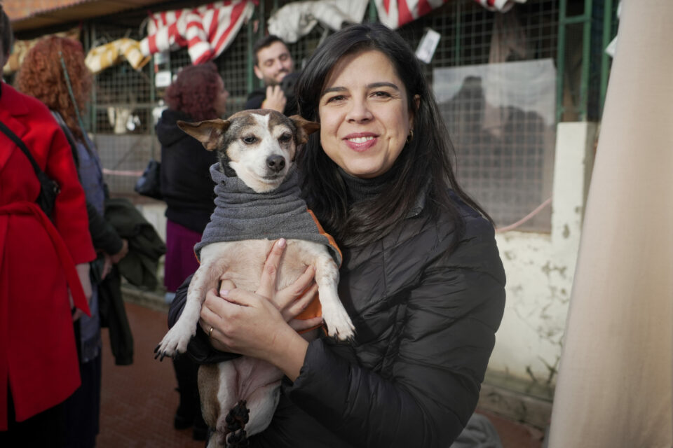 “Paga o que deves aos animais”: PAN acusa Governo de dívida de 13 milhões