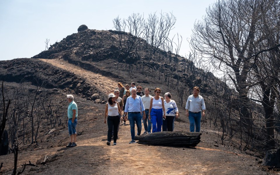 Madeira: PS alerta para necessidade de avançar com plano de prevenção contra incêndios